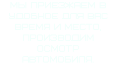 Мы приезжаем в удобное для вас время и место, производим осмотр автомобиля.